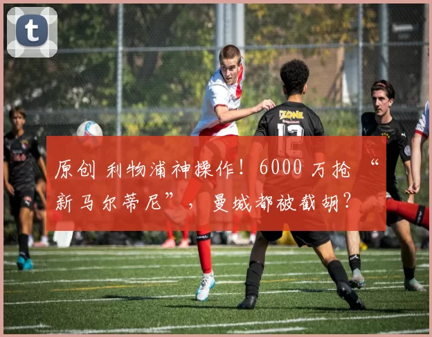 原创 利物浦神操作！6000 万抢 “新马尔蒂尼”，曼城都被截胡？