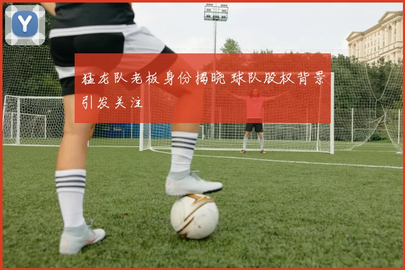 猛龙队老板身份揭晓 球队股权背景引发关注