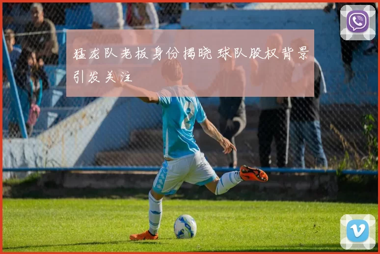 猛龙队老板身份揭晓 球队股权背景引发关注