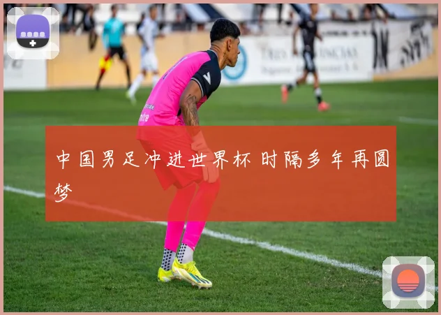 中国男足冲进世界杯 时隔多年再圆梦