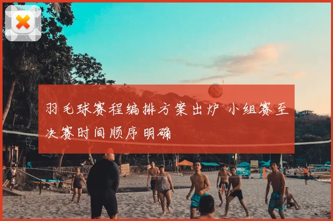 羽毛球赛程编排方案出炉 小组赛至决赛时间顺序明确