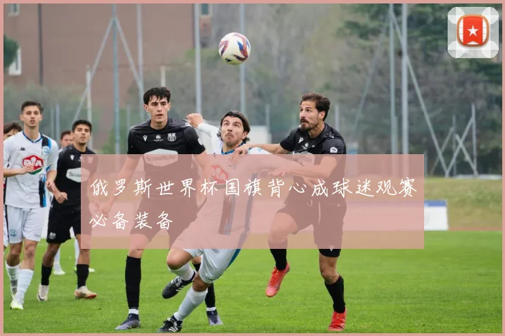 俄罗斯世界杯国旗背心成球迷观赛必备装备