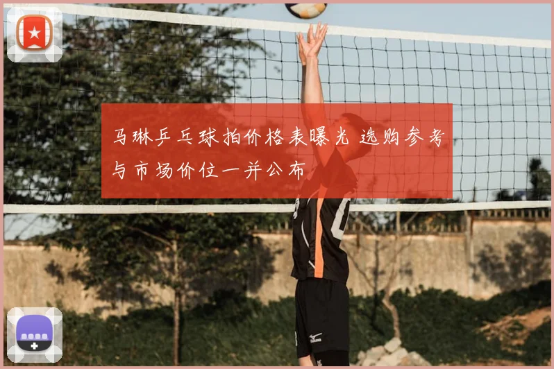 马琳乒乓球拍价格表曝光 选购参考与市场价位一并公布