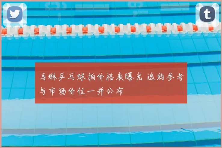 马琳乒乓球拍价格表曝光 选购参考与市场价位一并公布