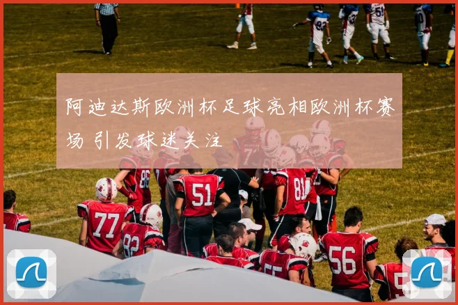 阿迪达斯欧洲杯足球亮相欧洲杯赛场 引发球迷关注