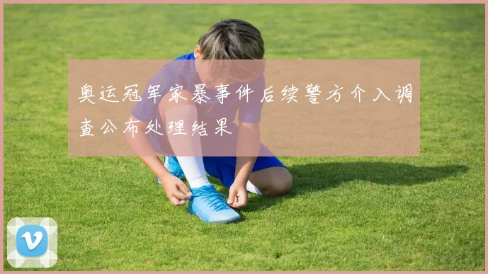 奥运冠军家暴事件后续警方介入调查公布处理结果